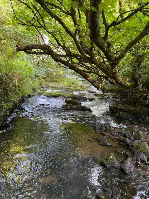 Banc Cottage Moylgrove エクステリア 写真