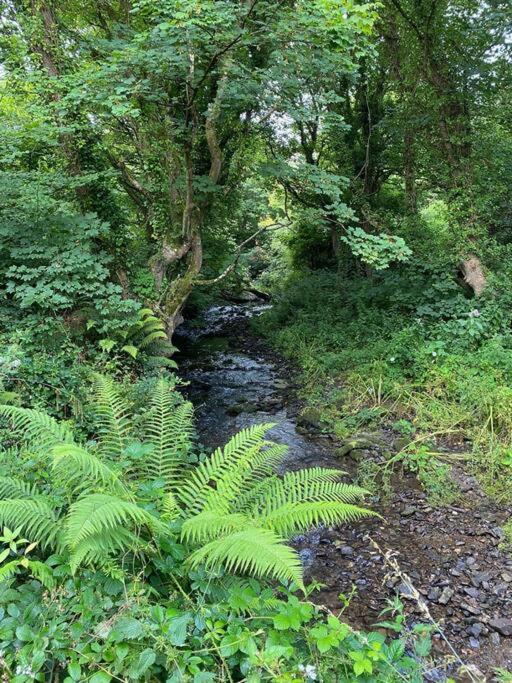 Banc Cottage Moylgrove エクステリア 写真